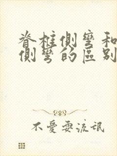 脊椎侧弯和腰椎侧弯的区别