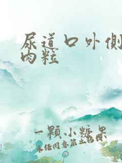 尿道口外侧长小肉粒