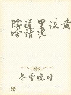 阴道里流黄水是啥情况