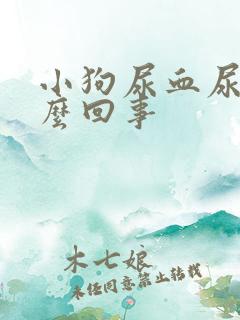 小狗尿血尿是怎么回事