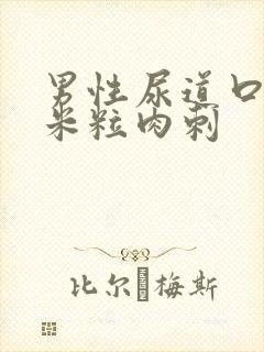 男性尿道口长小米粒肉刺