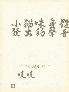 小猫咪身体里面发出的声音是怎么了