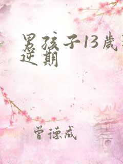 男孩子13岁叛逆期