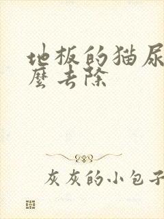 地板的猫尿味怎么去除