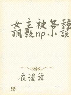 女主被各种淫玩调教np小说