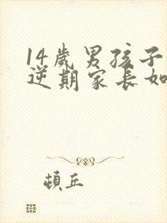 14岁男孩子叛逆期家长如何管教