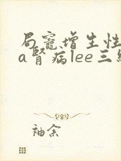 局灶增生性iga肾病lee三级