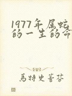 1977年属蛇的一生的命运