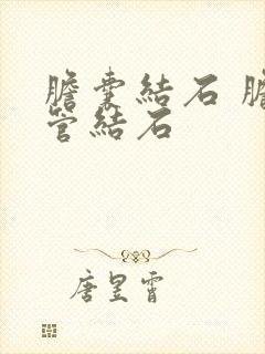 胆囊结石 胆囊管结石