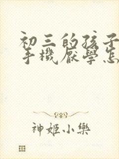 初三的孩子沉迷手机厌学怎么办