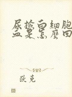 尿检白细胞高潜血是怎么回事