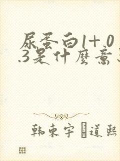 尿蛋白1+ 0.3是什么意思