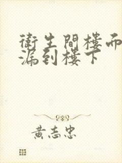 卫生间楼面漏水漏到楼下