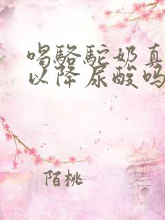 喝骆驼奶真的可以降尿酸吗