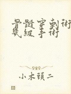 骨髓穿刺术属于几级手术