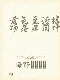 黄色豆渣样分泌物瘙痒用什么药