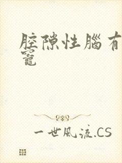 腔隙性脑有梗塞灶