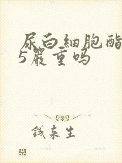 尿白细胞酯酶25严重吗