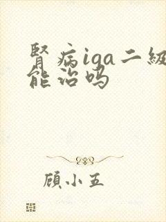 肾病iga二级能治吗