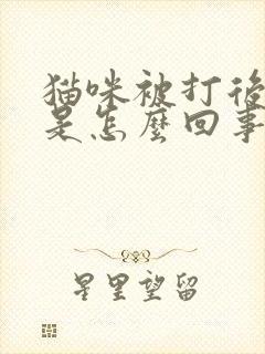 猫咪被打后尿血是怎么回事