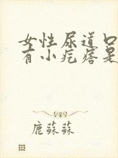 女性尿道口里面有小疙瘩是什么状况