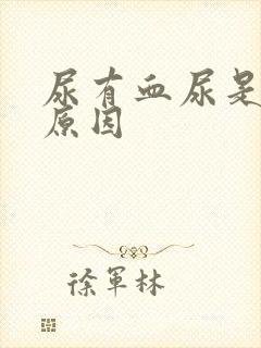 尿有血尿是什么原因