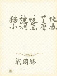 猫被咬了化脓个小洞怎么办