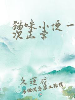 猫咪小便一天几次正常