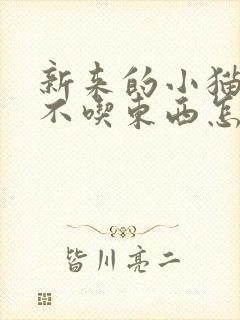 新来的小猫呕吐不吃东西怎么办