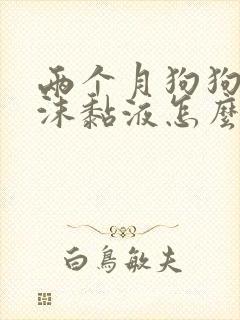 两个月狗狗吐白沫黏液怎么办