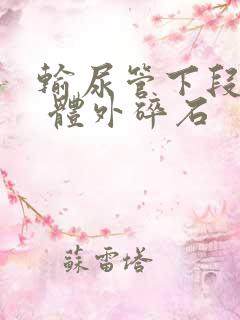 输尿管下段结石 体外碎石