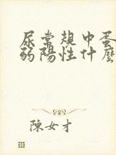 尿常规中蛋白质弱阳性什么意思