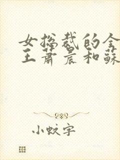 女总裁的全能兵王萧晨和苏晴