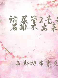 输尿管2毫米结石排不出来