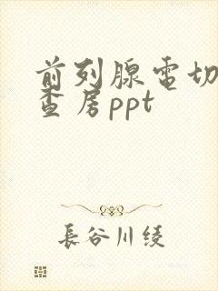 前列腺电切护理查房ppt