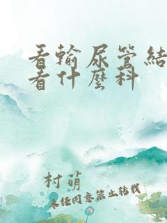 看输尿管结石应看什么科