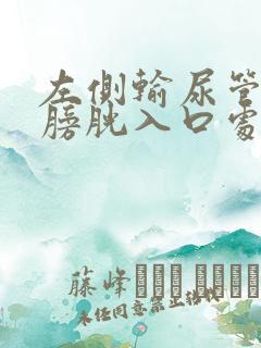 左侧输尿管下段膀胱入口处结石