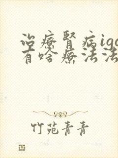 治疗肾病iga有啥疗法法