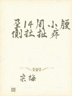 孕14周小腹右侧拉扯疼