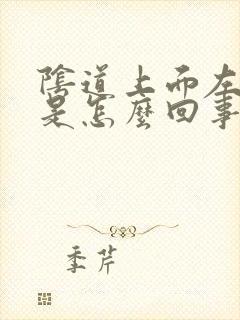 阴道上面左边痛是怎么回事