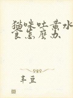 猫咪吐黄水不吃食怎么办