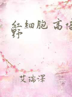 红细胞 高倍视野