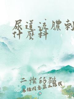 尿道流脓刺痛挂什么科