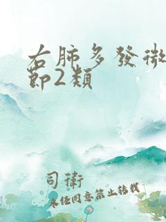 右肺多发微小结节2类