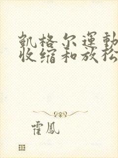 凯格尔运动怎么收缩和放松