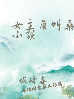 女主角叫桑晚的小说