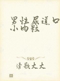 男性尿道口边有小肉粒