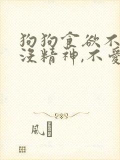 狗狗食欲不振,没精神,不爱动是什么病