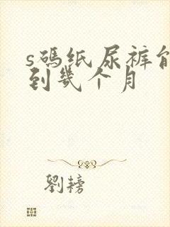 s码纸尿裤能穿到几个月