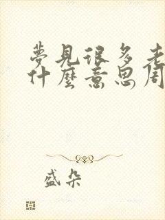 梦见很多老鼠是什么意思周公解梦